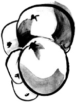 Иллюстрация к книге — Питание и долголетие [_122.jpg]