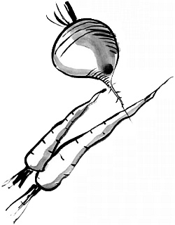 Иллюстрация к книге — Питание и долголетие [_13.jpg]