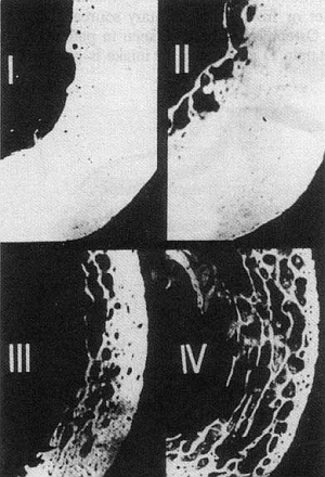 Иллюстрация к книге — Питание и долголетие [_154.jpg]