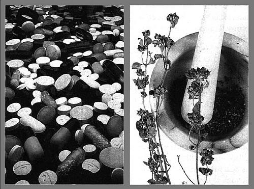 Иллюстрация к книге — Питание и долголетие [_175.jpg]