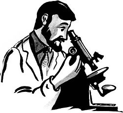 Иллюстрация к книге — Питание и долголетие [_190.jpg]