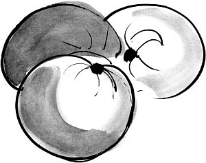 Иллюстрация к книге — Питание и долголетие [_20.jpg]