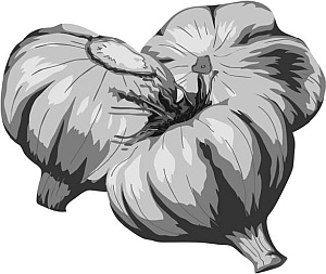 Иллюстрация к книге — Питание и долголетие [_51.jpg]