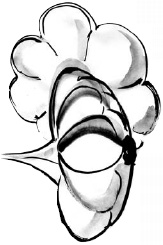 Иллюстрация к книге — Питание и долголетие [_54.jpg]