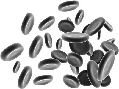 Иллюстрация к книге — Питание и долголетие [_60.jpg]