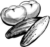 Иллюстрация к книге — Питание и долголетие [_97.jpg]