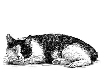 Иллюстрация к книге — Простишь — не простишь [i_008.jpg]