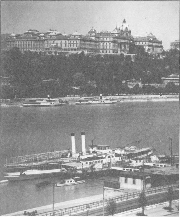 Иллюстрация к книге — "Венгерская рапсодия" ГРУ [i_001.jpg]