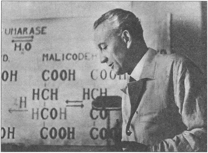 Иллюстрация к книге — "Венгерская рапсодия" ГРУ [i_004.jpg]