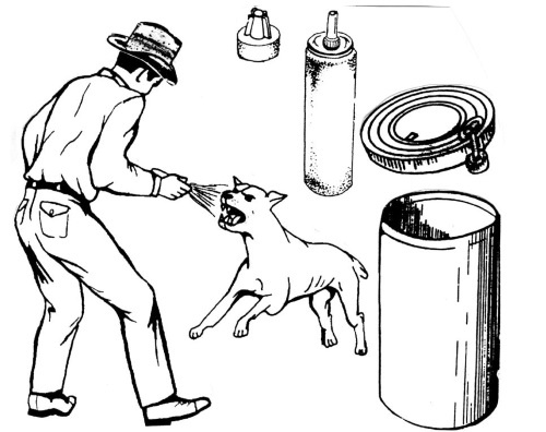 Иллюстрация к книге — Секретные инструкции ЦРУ и КГБ по сбору фактов, конспирации и дезинформации [i_324.jpg]