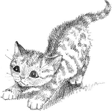 Иллюстрация к книге — Котенок Рыжик, или Как найти сокровище [i_001.jpg]