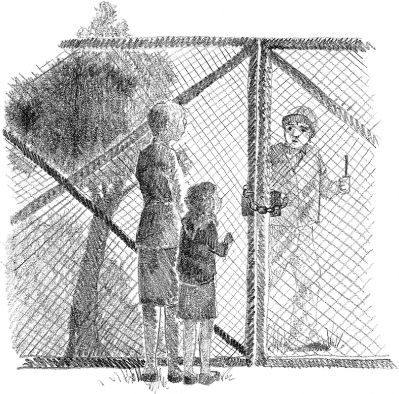 Иллюстрация к книге — Котенок Рыжик, или Как найти сокровище [i_014.jpg]