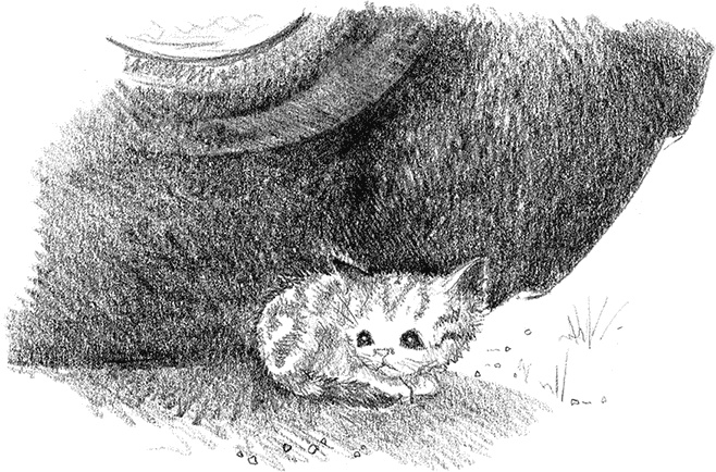 Иллюстрация к книге — Котенок Рыжик, или Как найти сокровище [i_018.jpg]