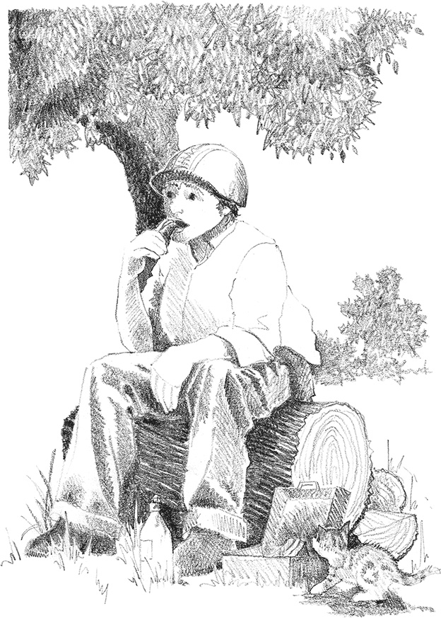 Иллюстрация к книге — Котенок Рыжик, или Как найти сокровище [i_021.jpg]