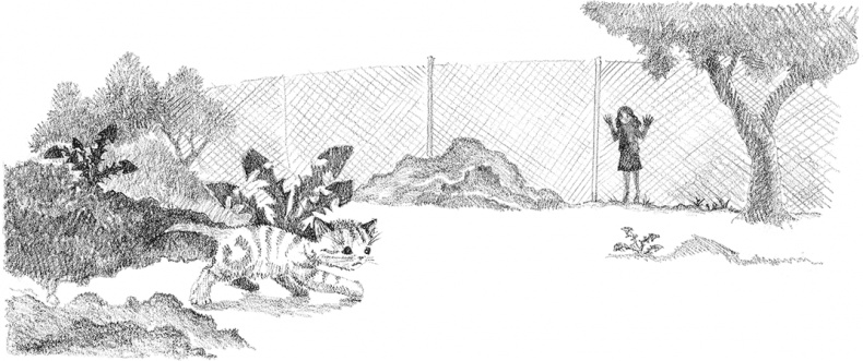 Иллюстрация к книге — Котенок Рыжик, или Как найти сокровище [i_026.jpg]