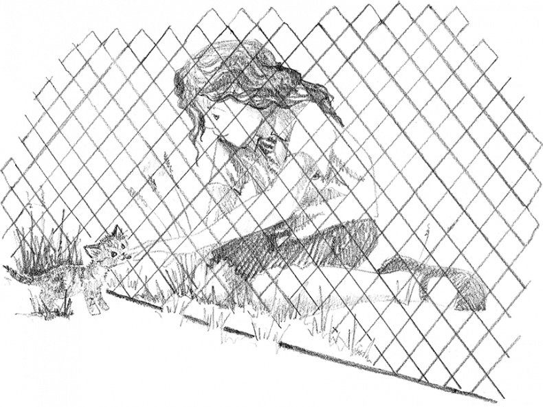 Иллюстрация к книге — Котенок Рыжик, или Как найти сокровище [i_027.jpg]