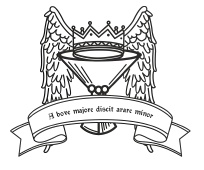 Иллюстрация к книге — Таро Ангелов-Хранителей. Помощники и защитники человека. [i_046.jpg]