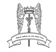 Иллюстрация к книге — Таро Ангелов-Хранителей. Помощники и защитники человека. [i_068.jpg]