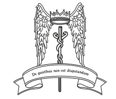 Иллюстрация к книге — Таро Ангелов-Хранителей. Помощники и защитники человека. [i_069.jpg]