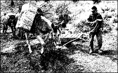 Иллюстрация к книге — Боевая подготовка Спецназа [_013.jpg]