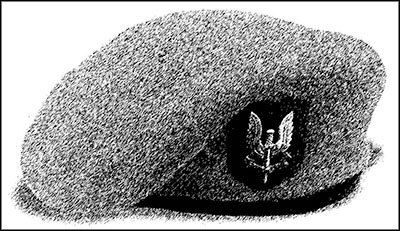 Иллюстрация к книге — Боевая подготовка Спецназа [_0911.jpg]