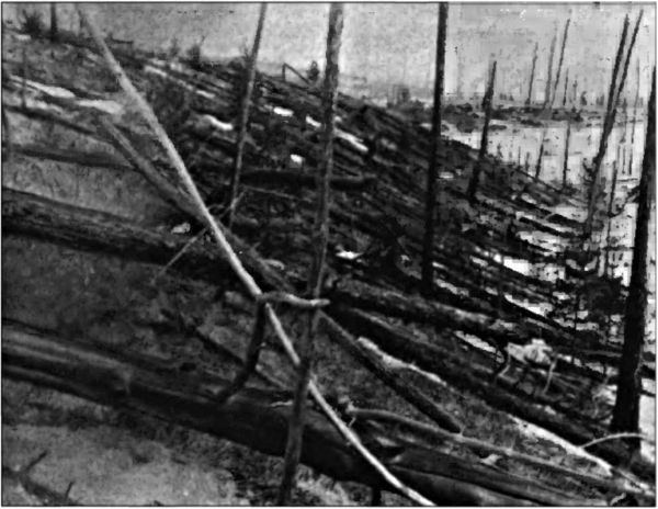 Иллюстрация к книге — Никола Тесла. Наследие великого изобретателя [i_020.jpg]