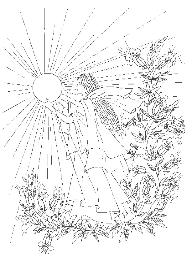 Иллюстрация к книге — Полное очищение: Исцеление тела, души, жизни [Autogen_eBook_id1.jpg]