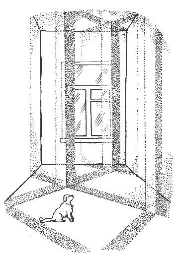 Иллюстрация к книге — Полное очищение: Исцеление тела, души, жизни [Autogen_eBook_id4.jpg]