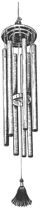 Иллюстрация к книге — Полное очищение: Исцеление тела, души, жизни [Autogen_eBook_id6.jpg]