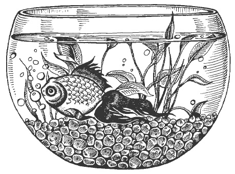 Иллюстрация к книге — Полное очищение: Исцеление тела, души, жизни [Autogen_eBook_id7.jpg]