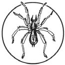 Иллюстрация к книге — Лунный календарь в повседневной жизни [Autogen_eBook_id20.jpg]