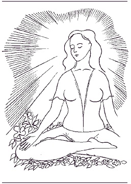 Иллюстрация к книге — Дом, который нас выбирает. Гармонизация энергетики дома и человека [Autogen_eBook_id0.jpg]