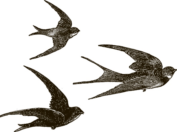 Иллюстрация к книге — Приключения Мурзилки и маленьких человечков [i_081.jpg]