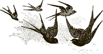 Иллюстрация к книге — Приключения Мурзилки и маленьких человечков [i_084.jpg]