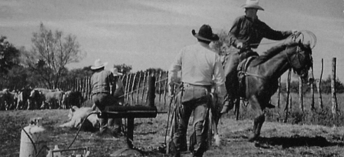 Иллюстрация к книге — Американский снайпер. Автобиография самого смертоносного снайпера XXI века [i_008.jpg]