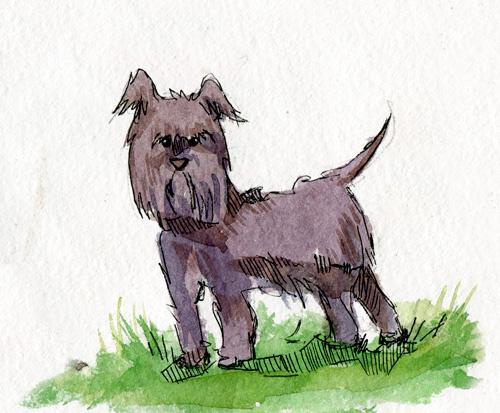 Иллюстрация к книге — Сказки про детей. Продолжение [i_009.jpg]