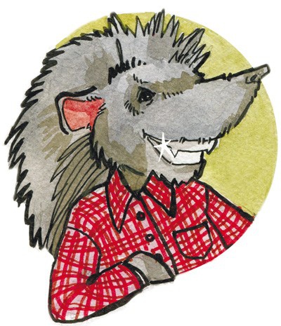 Иллюстрация к книге — Сказки Дружного леса [i_010.jpg]