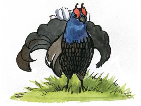 Иллюстрация к книге — Сказки Дружного леса [i_027.jpg]