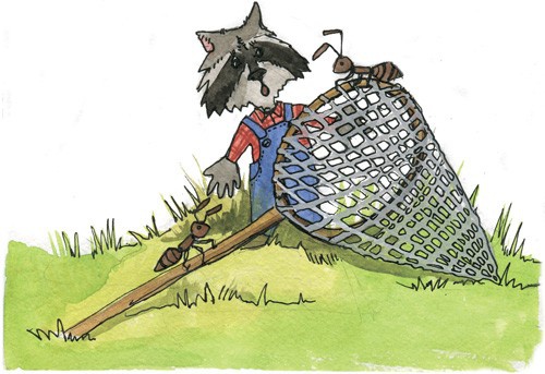 Иллюстрация к книге — Сказки Дружного леса [i_032.jpg]