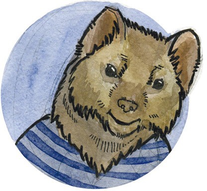 Иллюстрация к книге — Сказки Дружного леса [i_046.jpg]