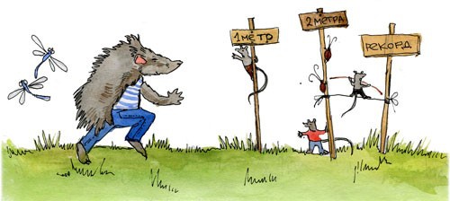 Иллюстрация к книге — Сказки Дружного леса. Новые приключения маленького Ёжика [i_012.jpg]