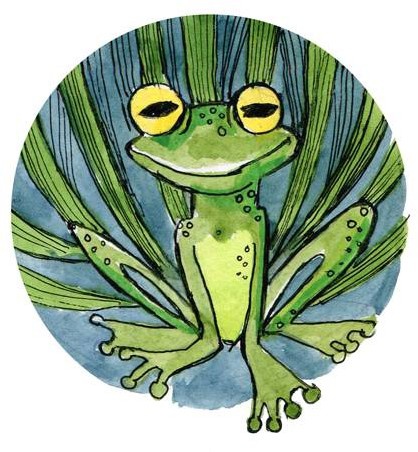 Иллюстрация к книге — Сказки Дружного леса. Новые приключения маленького Ёжика [i_024.jpg]