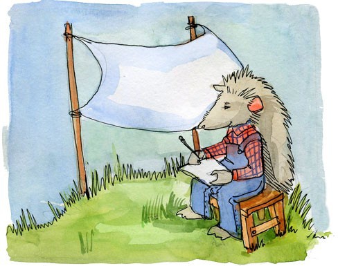 Иллюстрация к книге — Сказки Дружного леса. Новые приключения маленького Ёжика [i_033.jpg]