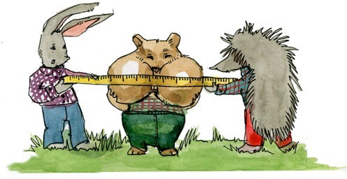 Иллюстрация к книге — Сказки Дружного леса. Новые приключения маленького Ёжика [i_047.jpg]