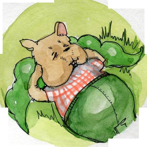 Иллюстрация к книге — Сказки Дружного леса. Новые приключения маленького Ёжика [i_048.jpg]