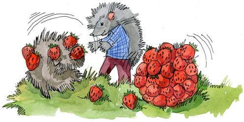 Иллюстрация к книге — Сказки Дружного леса. Новые приключения маленького Ёжика [i_057.jpg]