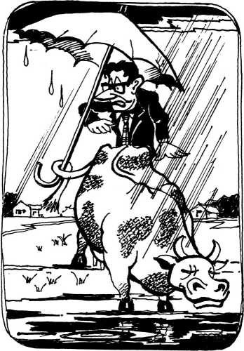 Иллюстрация к книге — Кавказская Одиссея и граф Николаевич [i_006.jpg]