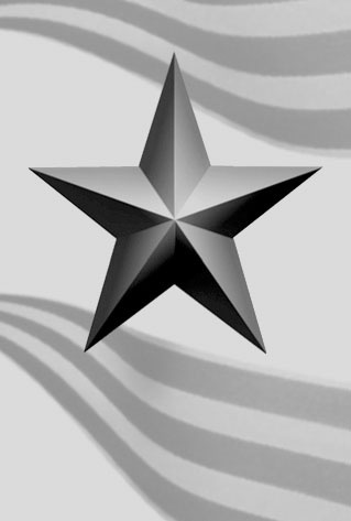 Иллюстрация к книге — Я взял Берлин и освободил Европу [zvezda.jpg_2.jpg]