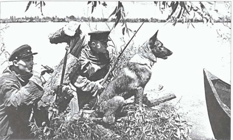 Иллюстрация к книге — Накануне 22 июня. Был ли готов Советский Союз к войне? [i_029.jpg]