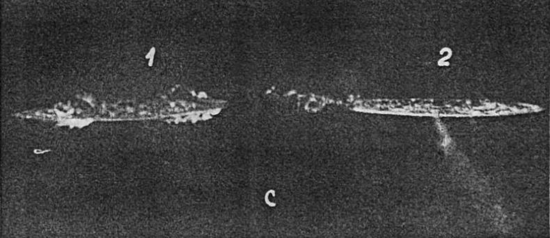 Иллюстрация к книге — Черноморский флот в Великой Отечественной войне. Краткий курс боевых действий [i_083.jpg]